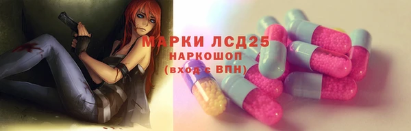 ECSTASY Белокуриха